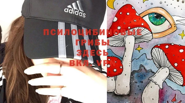 мяу мяу мука Алексеевка