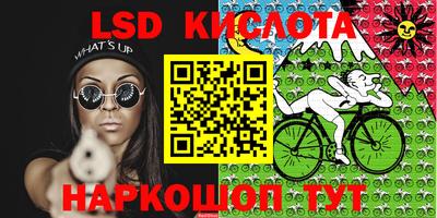 spice Заводоуковск