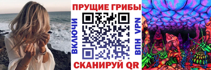 Псилоцибиновые грибы мухоморы  как найти закладки  Новозыбков 