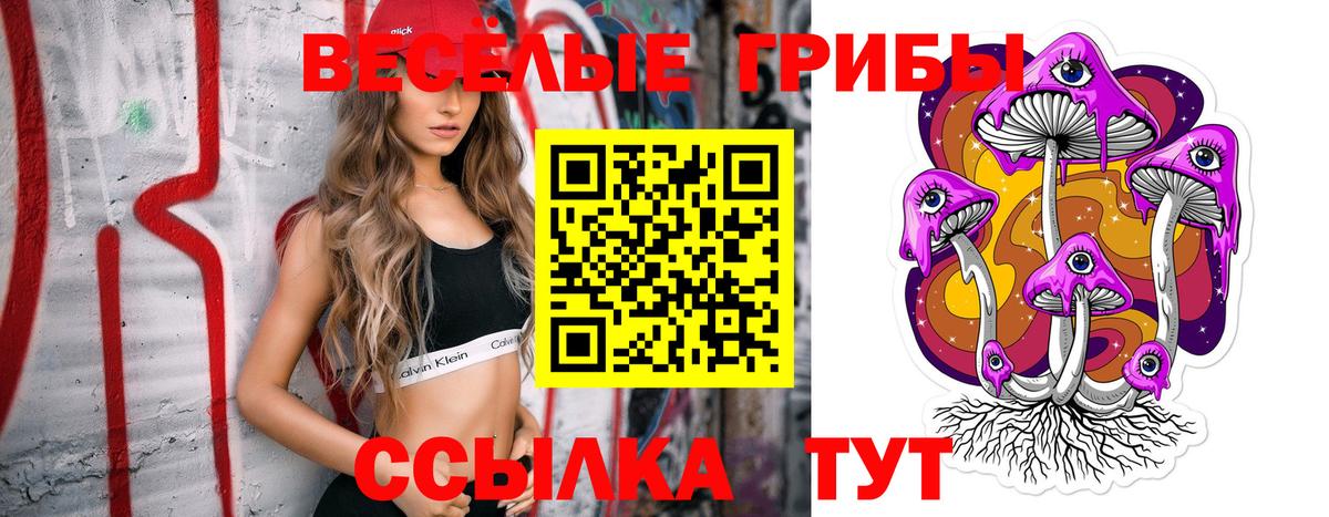 Галлюциногенные грибы Cubensis Новозыбков