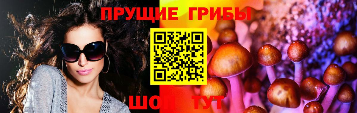 Новозыбков  Галлюциногенные грибы ЛСД  Вход с VPN 